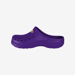 Minnesota Vikings Mens Solid Clog