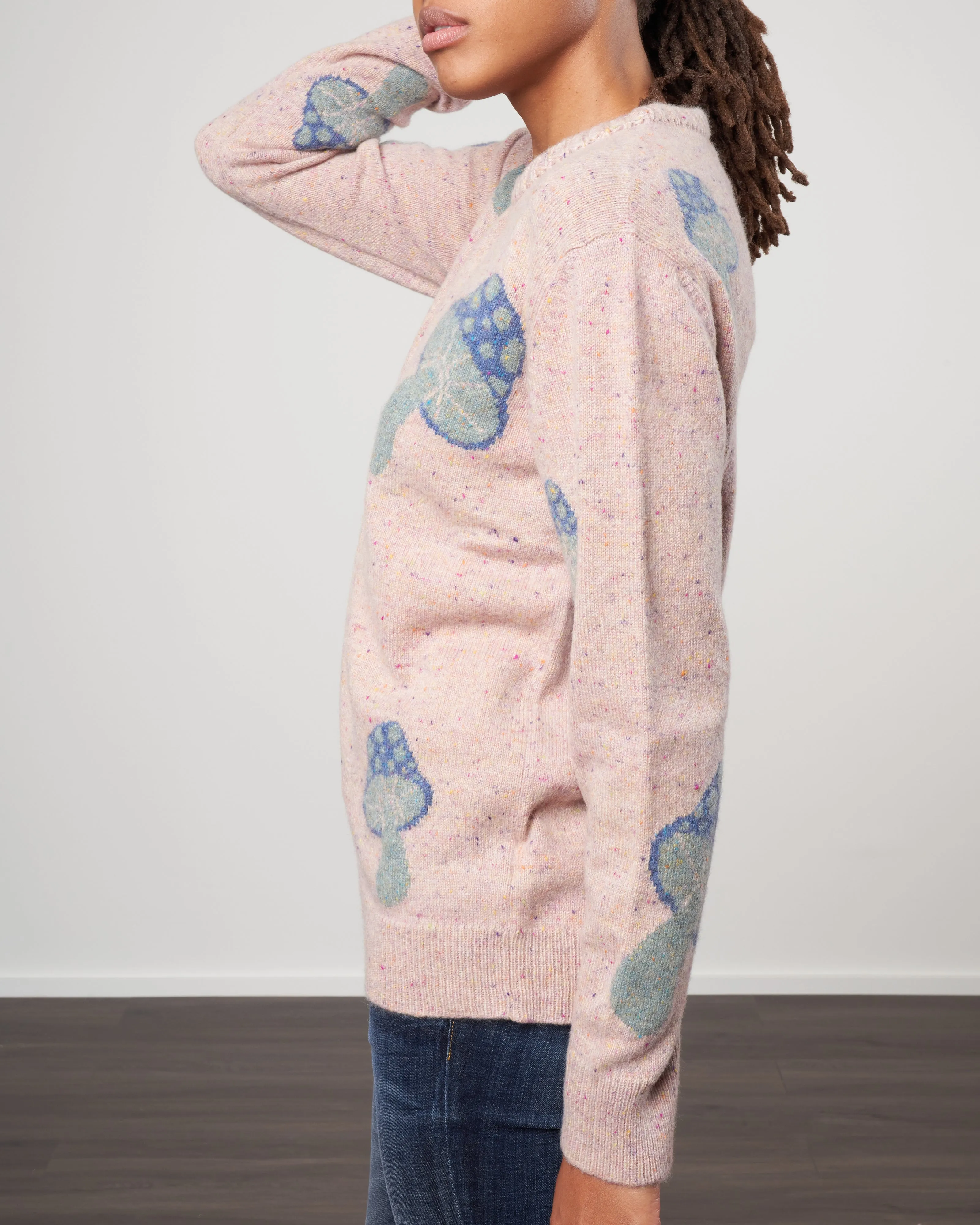 mushroom crew sweater - tweed