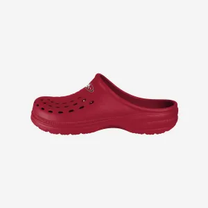 San Francisco 49ers Mens Solid Clog